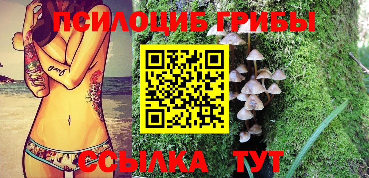 Псилоцибиновые грибы мухоморы Тара