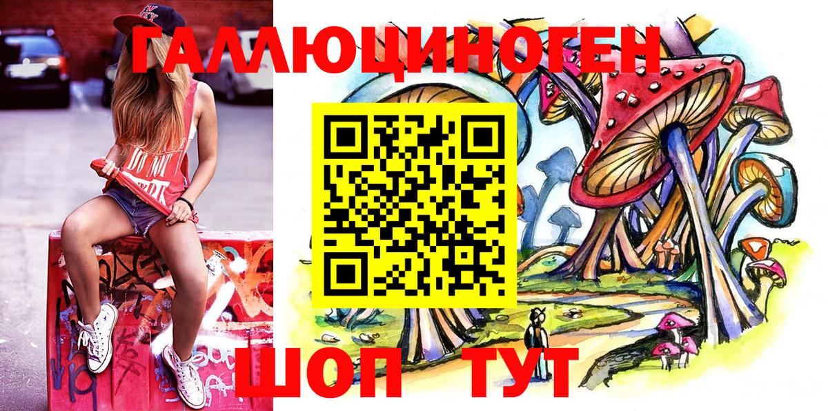 Галлюциногенные грибы Psilocybine cubensis  Псилоцибиновые грибы мицелий  Вход с VPN  Тара 
